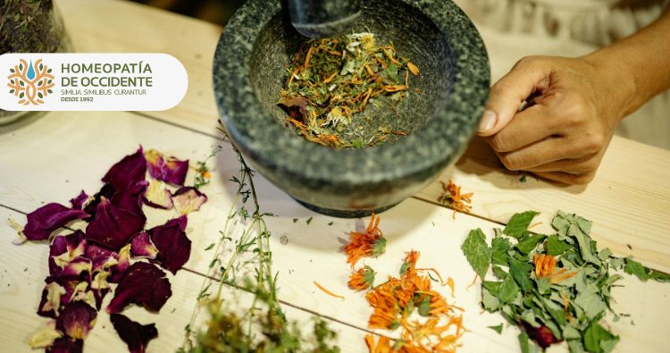 Cómo abrir tu propio consultorio de homeopatía | Guía completa paso a paso