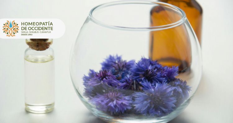 Cuánto gana un homeópata en México