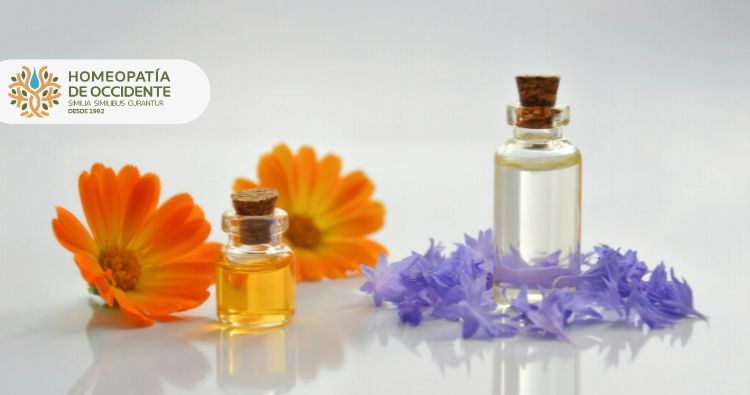 Homeopatía como segunda carrera o ingreso extra